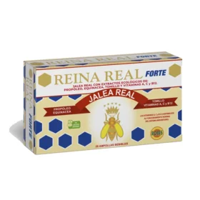 FOTO REINA REAL FORTE 2024